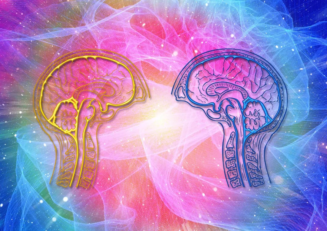 如何打造會議中的“極致體驗(yàn)”